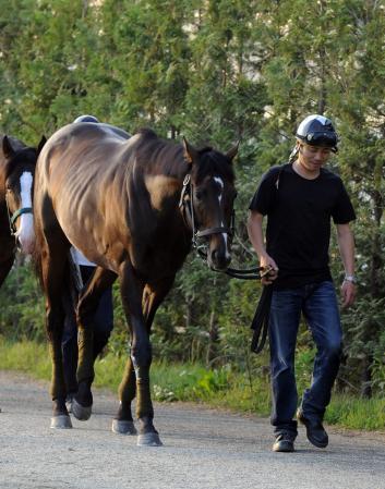 �@��ˋL�O�ō���������_�����[���[�V�b�v�i�B�e�E�Љ������j