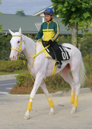 �@�d�܂ɏ��Q�킷�锒�єn�}�V���}��