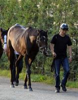 �@��ˋL�O�ō���������_�����[���[�V�b�v�i�B�e�E�Љ������j