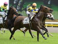 @pXCxKXijւ̐iHWQŒRc̖ɂUOOBƂȂt@CitH[R̓c