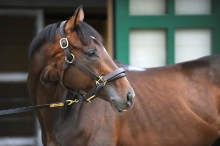 �@�ǌ��n���[���[�V�b�v�������������������