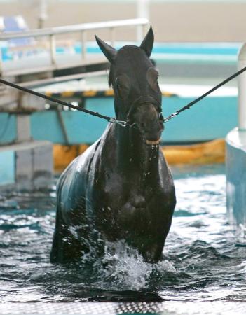 @̓hoCAłDdオ̃GCVtbVɒ