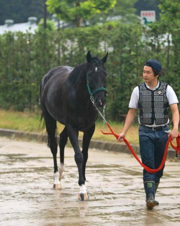 @t̓Vc܂ɑAēx̌_r[gubNiBeEΓPj