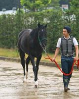 @t̓Vc܂ɑAēx̌_r[gubNiBeEΓPj