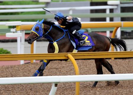 @cwɌIbv𔗗͂Ղɋ삯ECoAVI