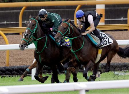 @Iłŏo̗ǂAs[[[VbvijiBeEЉj