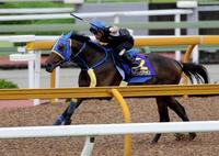 @cwɌIbv𔗗͂Ղɋ삯ECoAVI