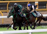 @Iłŏo̗ǂAs[[[VbvijiBeEЉj