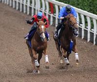 @֌rYƃItF[߂r]tij