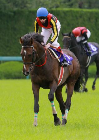 @Qɔsꂽ[[VbviBeEΓPj