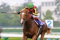 �@�͋�������ŕ��������I���t�F�[�����i�B�e�E�Γ��P��j