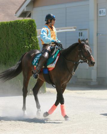 @V퉲nCVET\Y̊ҔnCVEAJtWɓoꂷ