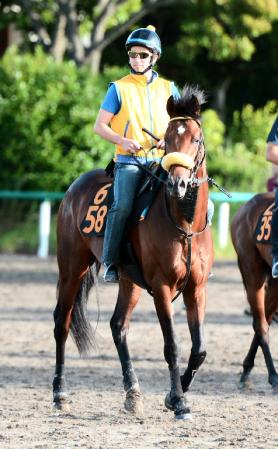 �@�����ɊK�i���オ���Ă���\�������@���e