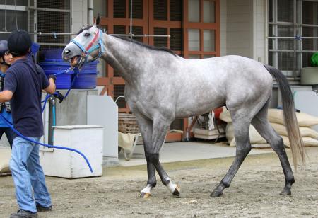 �@�R�Δn�V�Q���X�_�`���Ôn���j���������