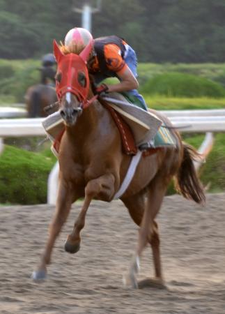 �@���̌𗬂f�P�֖��S�̑Ԑ��Œ��ރI�I�G���C�W���i�B�e�E����p���j