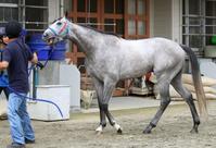 �@�R�Δn�V�Q���X�_�`���Ôn���j���������