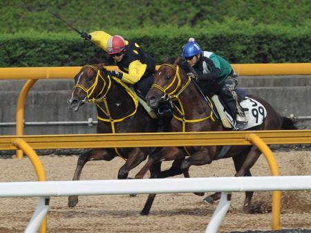 @IbvŃCVEJh}cijƂ̕nŒǂꂽG[Vqbg}