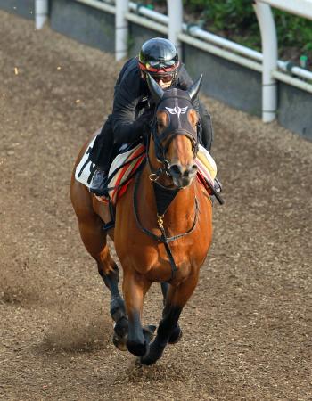 �@�I����H�̃��X�g�P�e�łP�P�b����}�[�N�����_�b�V���[�S�[�S�[�i�B�e�E�Γ��P��j