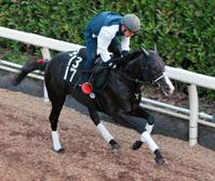 @mȋr΂ŌIH삯オ[ubg