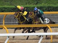 @IbvŃCVEJh}cijƂ̕nŒǂꂽG[Vqbg}