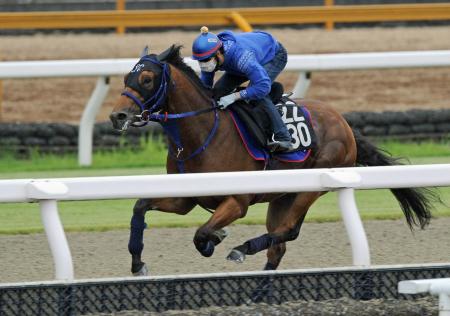 @nȂȂIcoŖ铮ITC[U[iBeEЉj