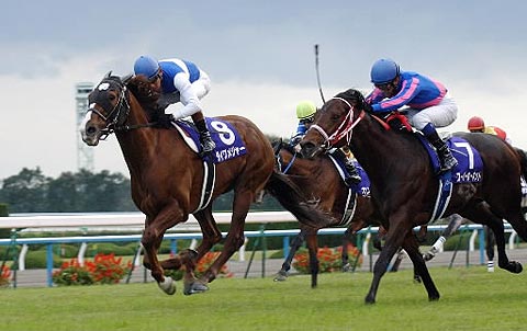 ダイワメジャー