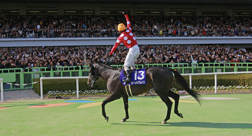 写真・ローレルゲレイロ