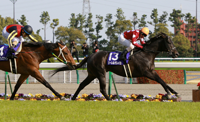 写真・ローレルゲレイロ