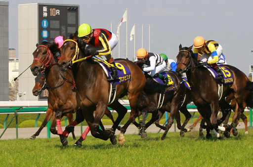 写真・ブエナビスタ