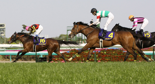 写真・アンライバルド