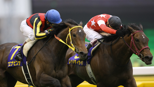 写真・ブエナビスタ