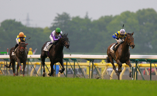 写真・ロジユニヴァース