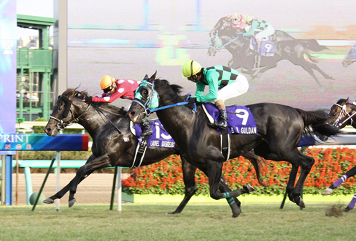 写真・ローレルゲレイロとビービーガルダン