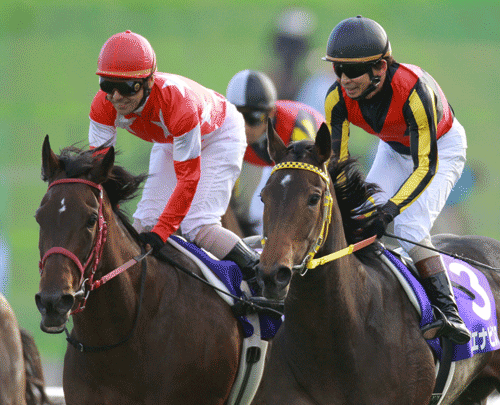 写真・レッドディザイアとブエナビスタ