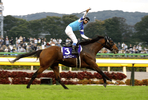 写真・カンパニー