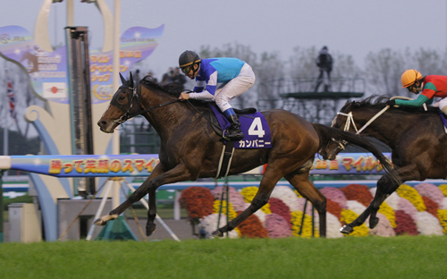 写真・カンパニー