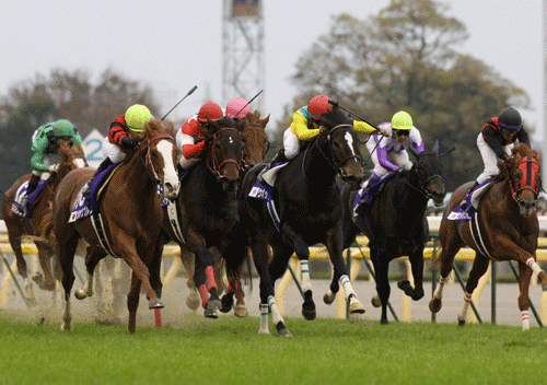 写真・ウォッカとオーケンブルースリ