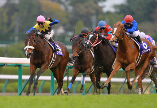 写真・アパパネ