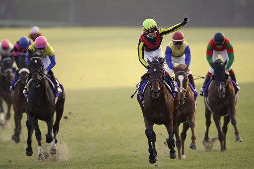 写真・ドリームジャーニー