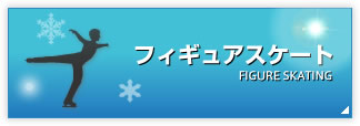 フィギュアスケート
