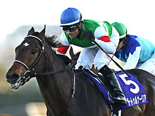 【ＰＲ】一昨年も馬連８７１０円的中。皐月賞で馬主関係者が１点勝負！