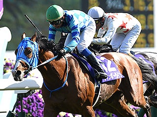 【ＰＲ】天皇賞(春)でオススメのオトクな馬券の買い方