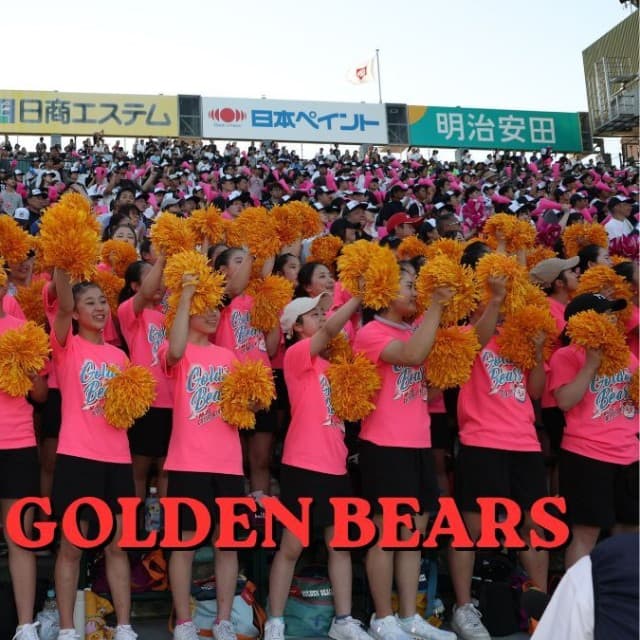 【元チア部が描く】７連覇を目指す箕面自由学園が甲子園へ向かった理由　そこで気づいた「チアの原点」