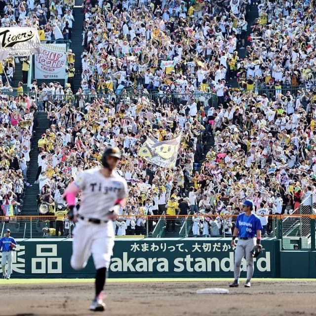 タイガース応援本部長に聞いた　選手専用の応援歌はどうやって作るの？