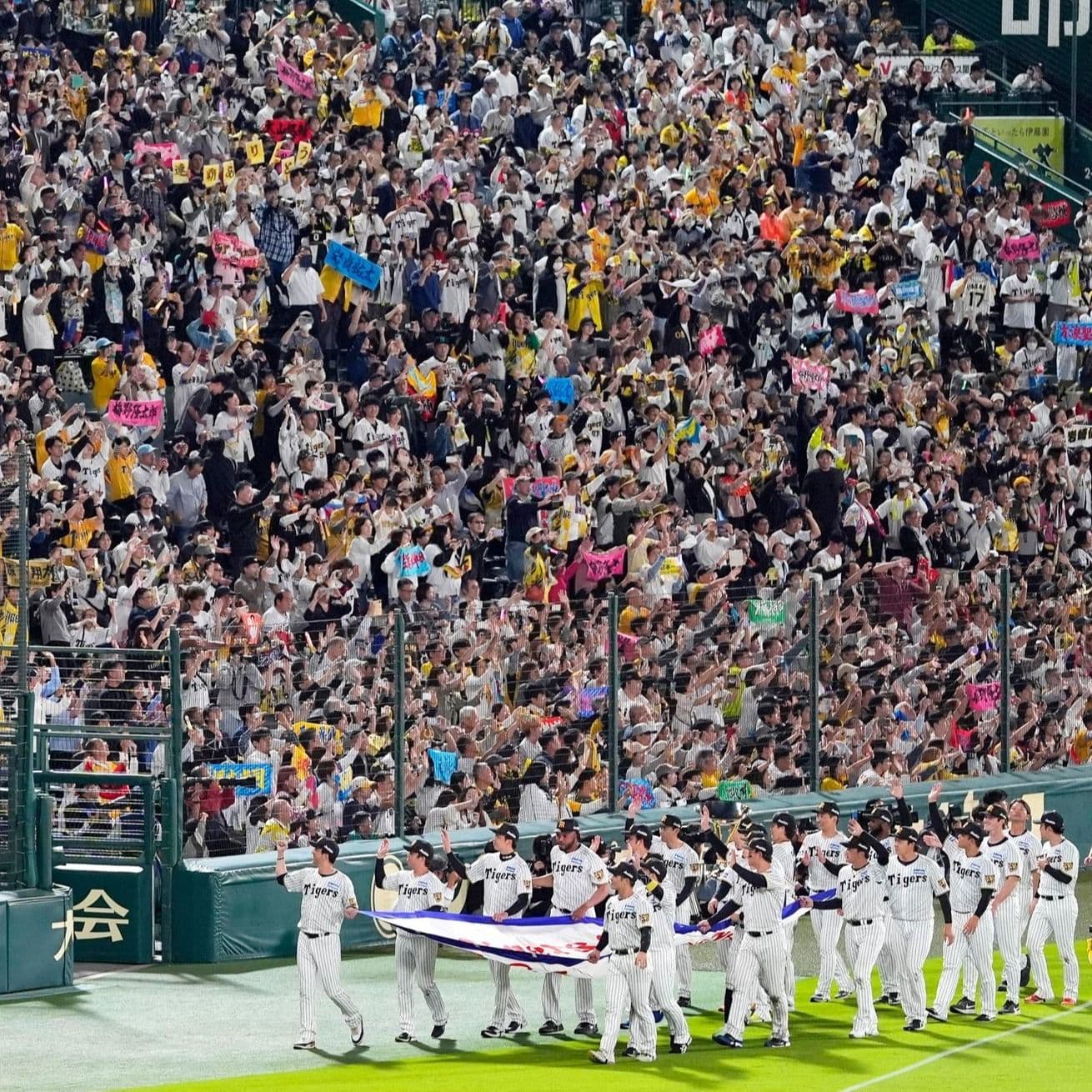 熱烈虎党なら阪神優勝で認知症改善!?攻撃的な暴言など減少 医師調査「他球団、他競技のファンにも当てはまる可能性」