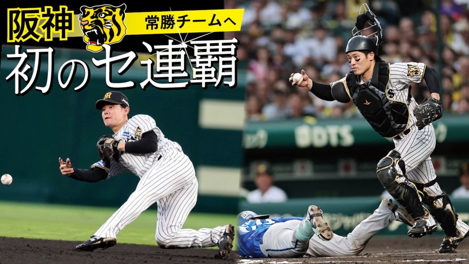 陰に日なたに猛虎を支えた“いぶし銀"コンビ 主将の坂本&つなぎ役の中野