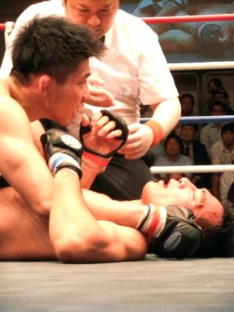 �@�S���E���h�A�e�[�N�_�E������̃g�b�v�L�[�v�ō��X�ؗL���i���j�����|���������j���Y����y���z�[��