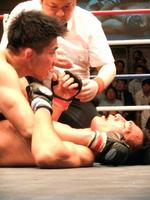 �@�S���E���h�A�e�[�N�_�E������̃g�b�v�L�[�v�ō��X�ؗL���i���j�����|���������j���Y����y���z�[��