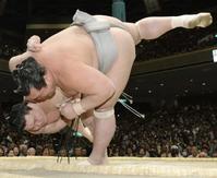 �@�L���i��j�����蓊���Ŕ��Q��j��