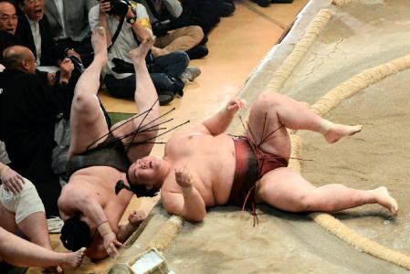 �@���Q�Ɋ��|���Ŕs����������ȕ\��̋H���̗��i�E�j���������Z�فi�B�e�E���؍��F�j